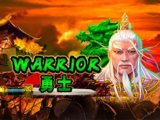 Warrior game cover